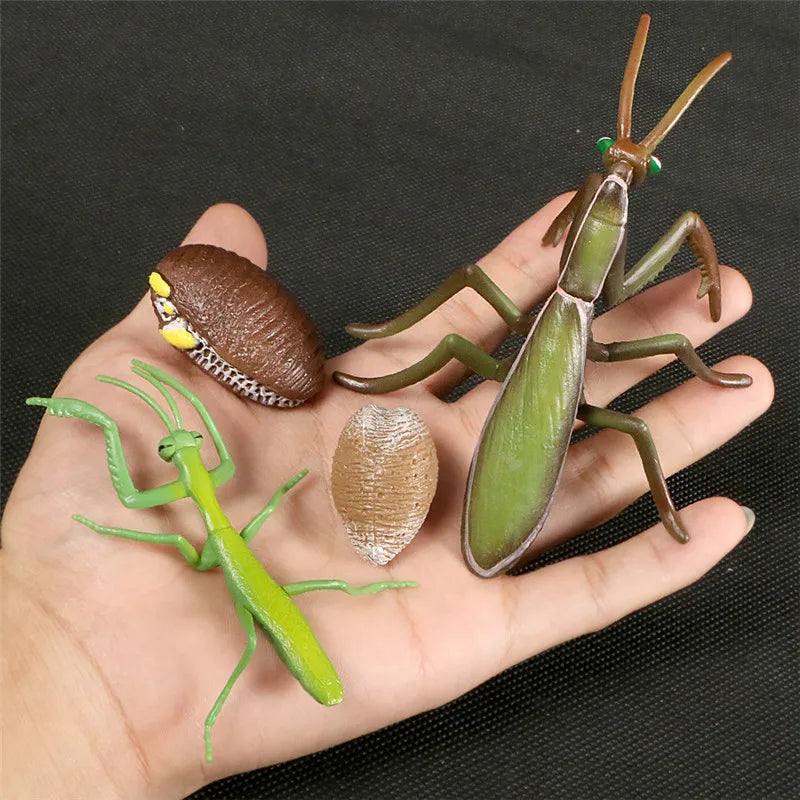 Simulation Animal Figures Evolution