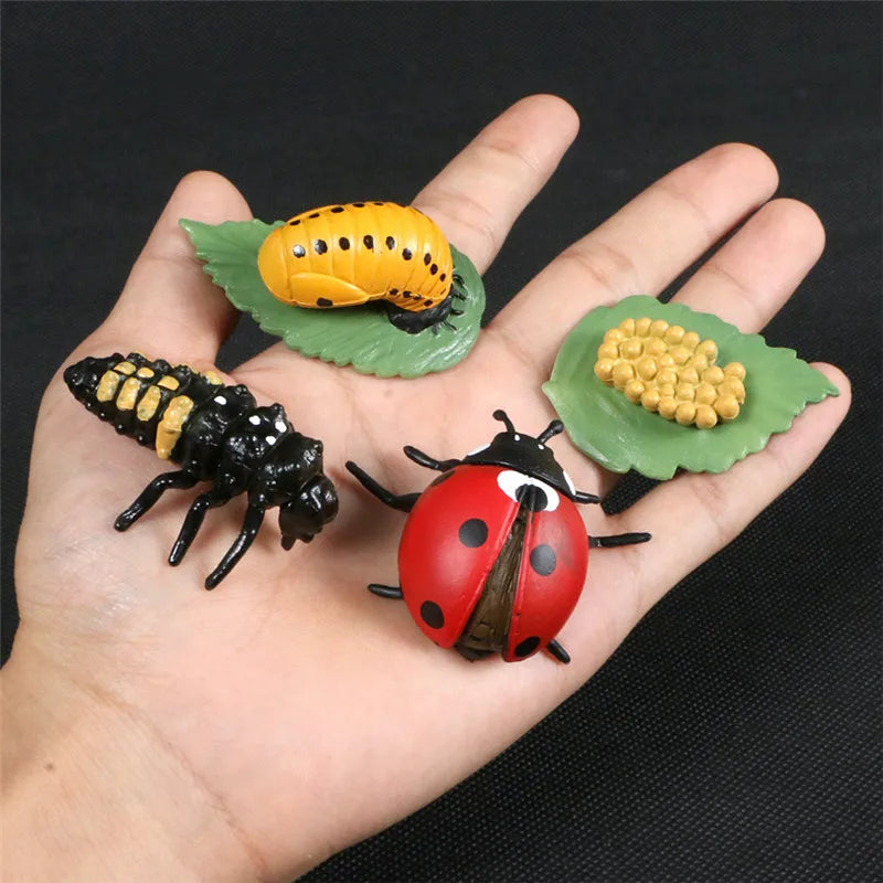 Simulation Animal Figures Evolution
