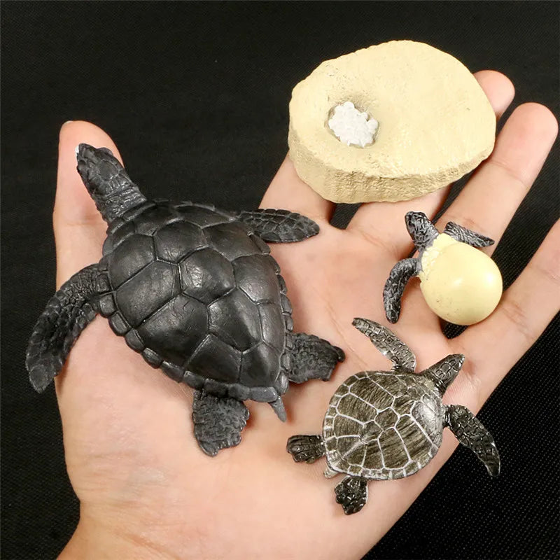 Simulation Animal Figures Evolution