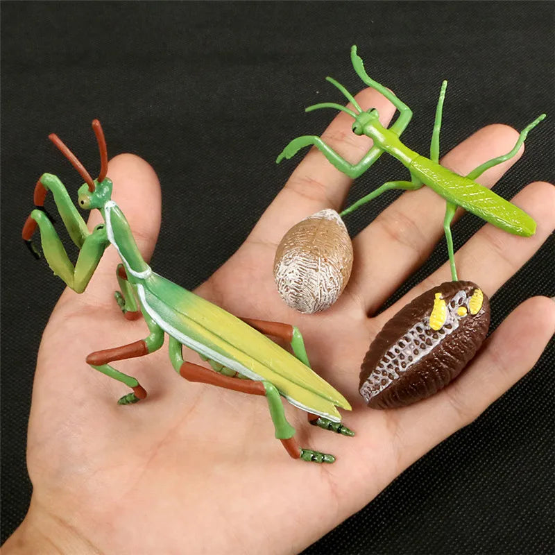 Simulation Animal Figures Evolution