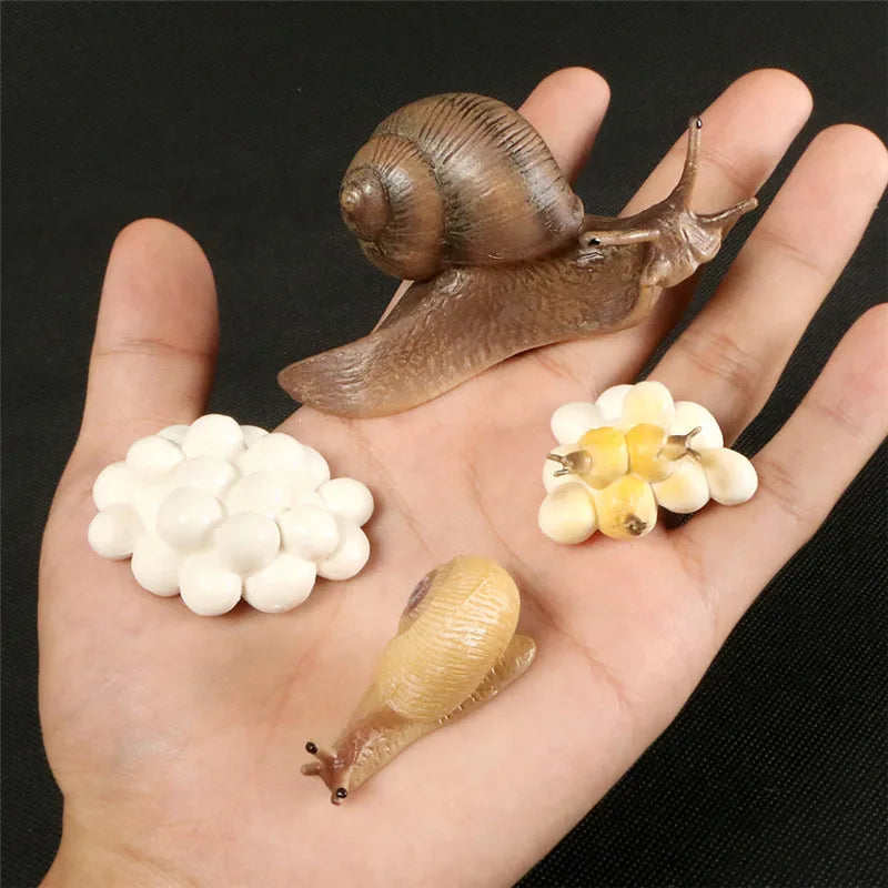 Simulation Animal Figures Evolution