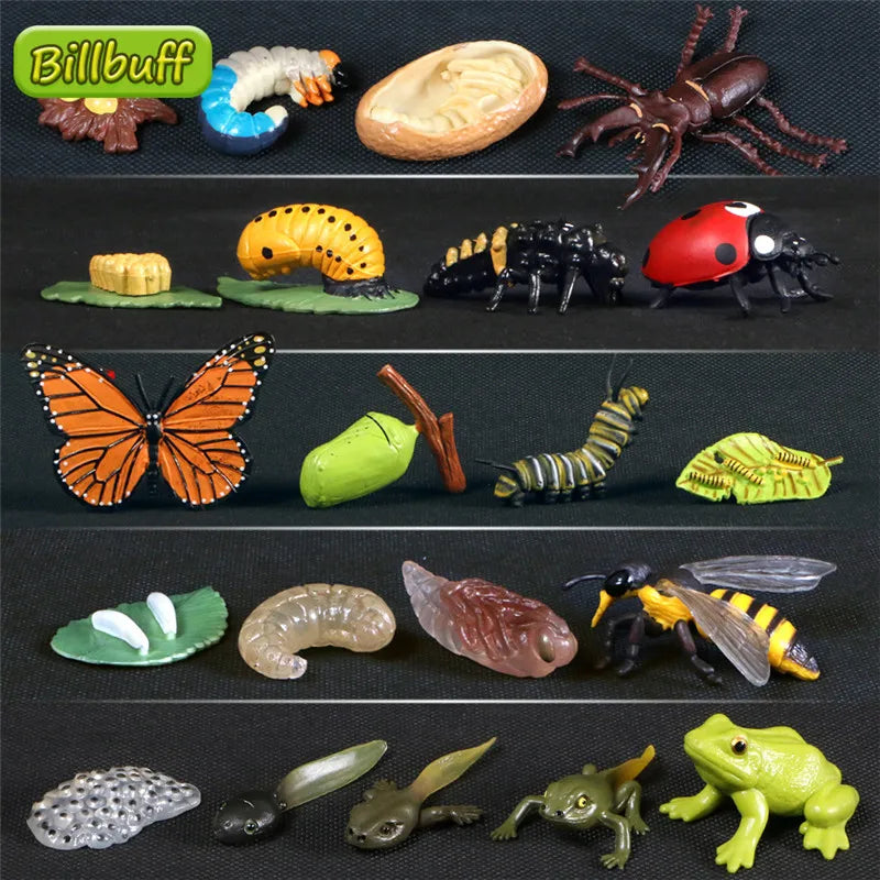 Simulation Animal Figures Evolution