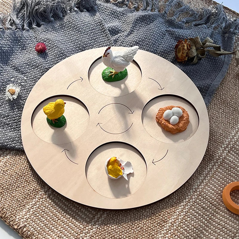 Animal Life Cycle Board Toy