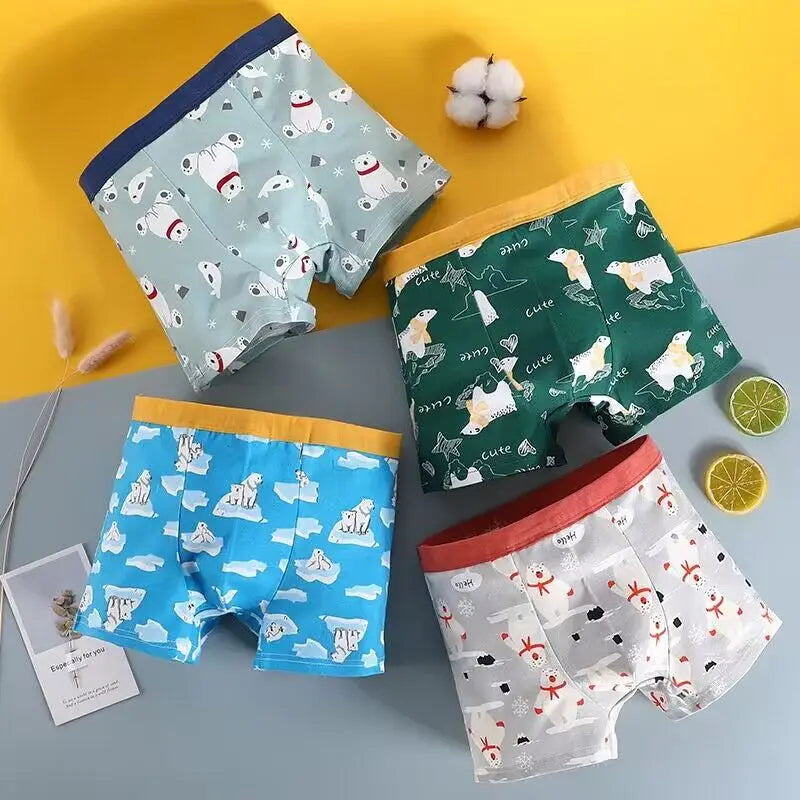 6Pc Boys Underpants 1-12Y