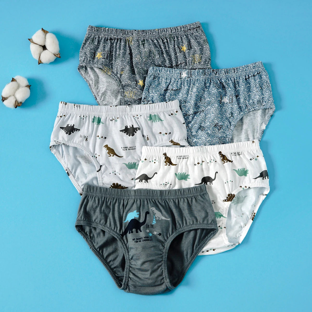 5pcs Boys Cotton Dino underwear