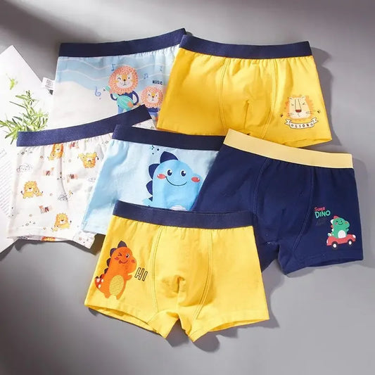 6Pc Boys Underpants 1-12Y