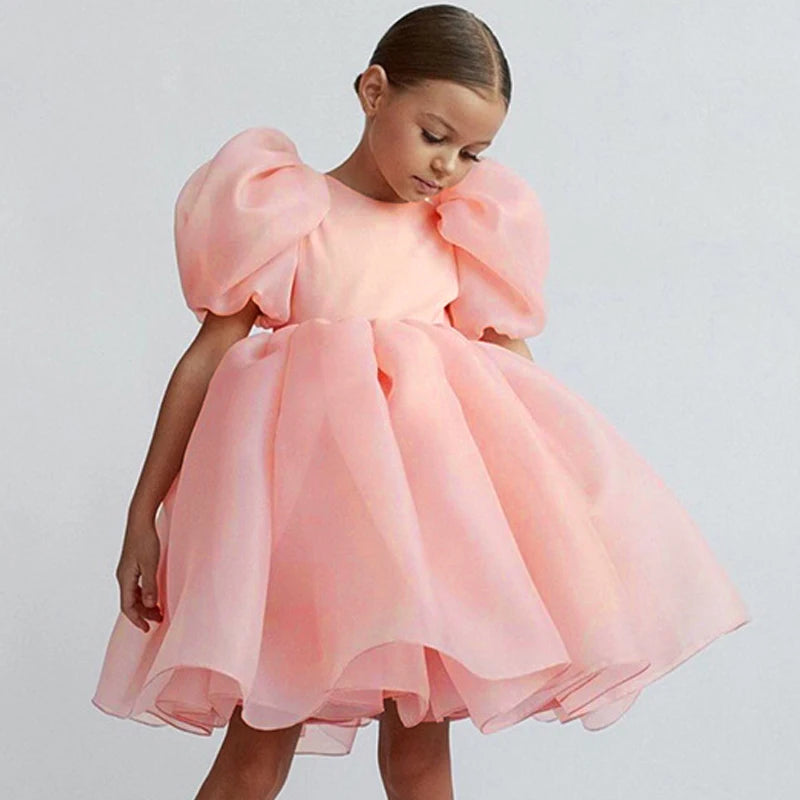 Girl Princess Dress Tulle Puff Sleeve