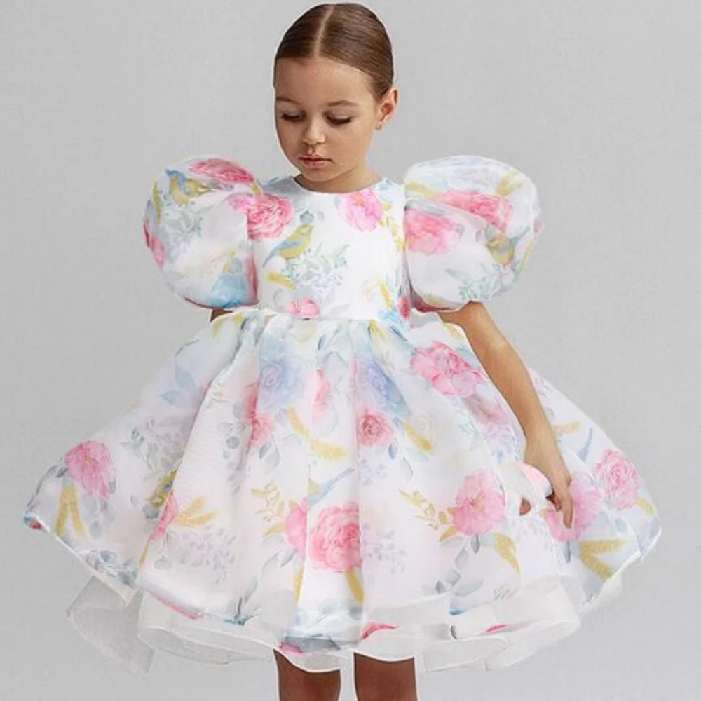 Girl Princess Dress Tulle Puff Sleeve