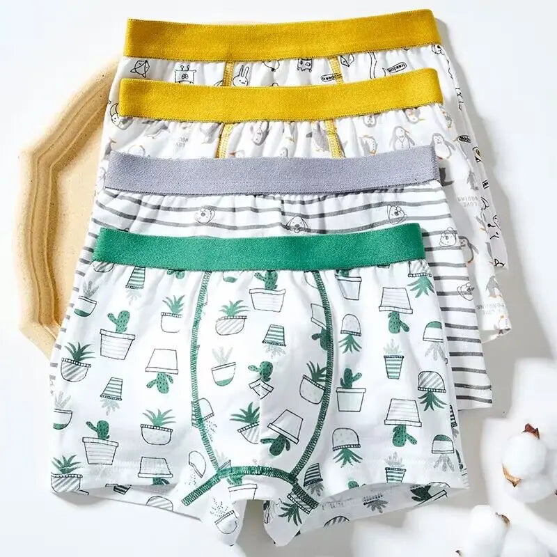 6Pc Boys Underpants 1-12Y