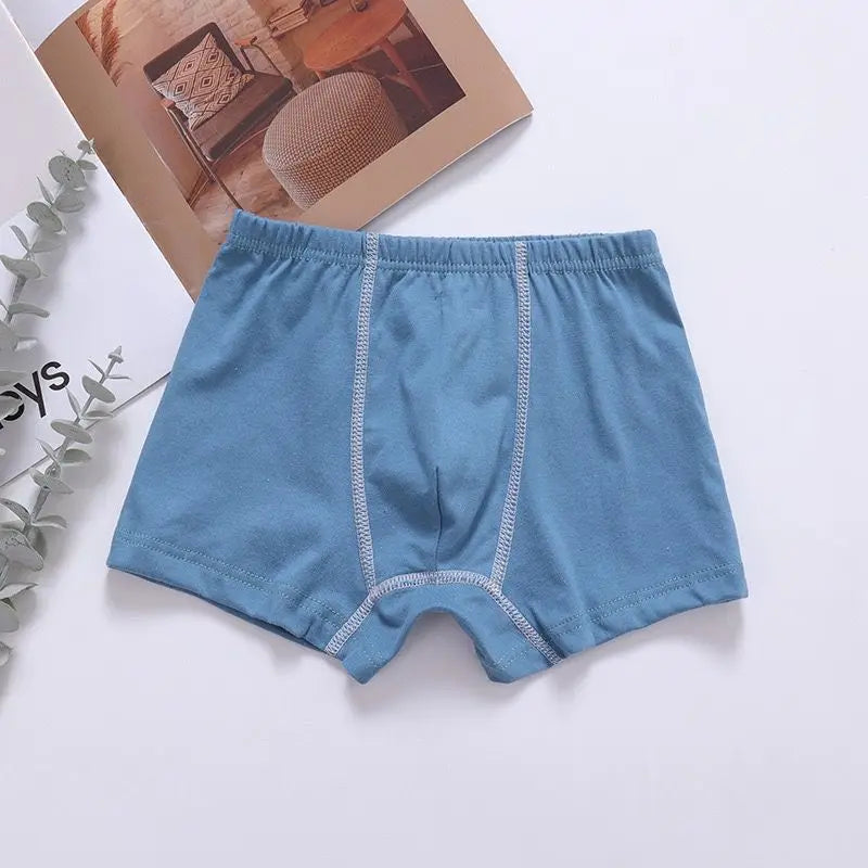 6pc Boys Boxer Solid Underwear